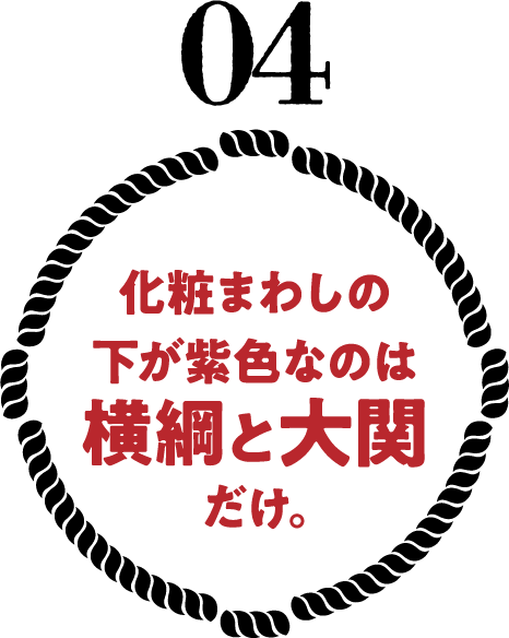 化粧まわしの下が紫色なのは横綱と大関だけ。