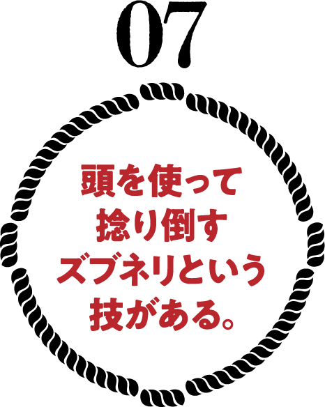 頭を使って捻り倒すズブネリという技がある。