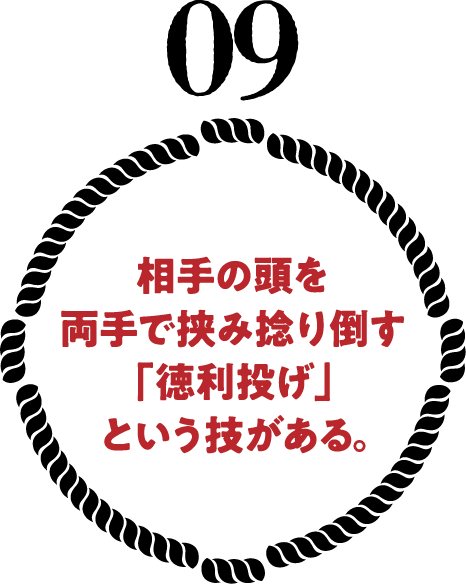 相手の頭を両手で挟み捻り倒す「徳利投げ」という技がある。