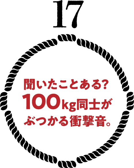 聞いたことある？100kg同士がぶつかる衝撃音。