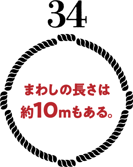 まわしの長さは約10mもある。