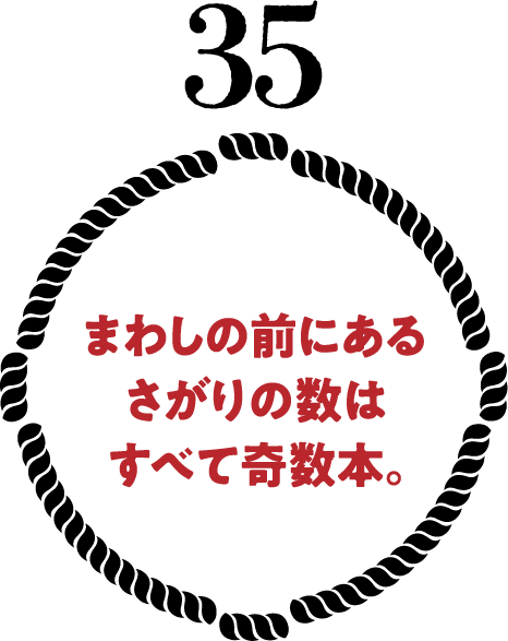 まわしの前にあるさがりの数はすべて奇数本。