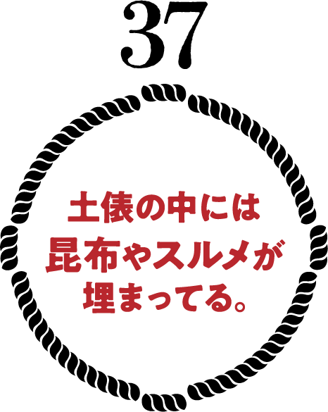 土俵の中には昆布やスルメが埋まってる。