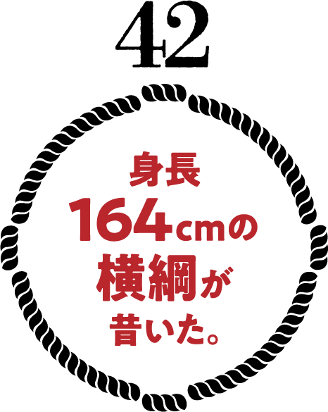 身長164cmの横綱が昔いた。