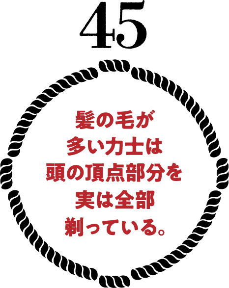 髪の毛が多い力士は頭の頂点部分を実は全部剃っている。